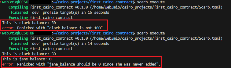 Cairo program panic result