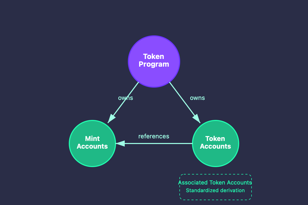 a diagram showing the relationship between the token program, mint accounts and token accounts