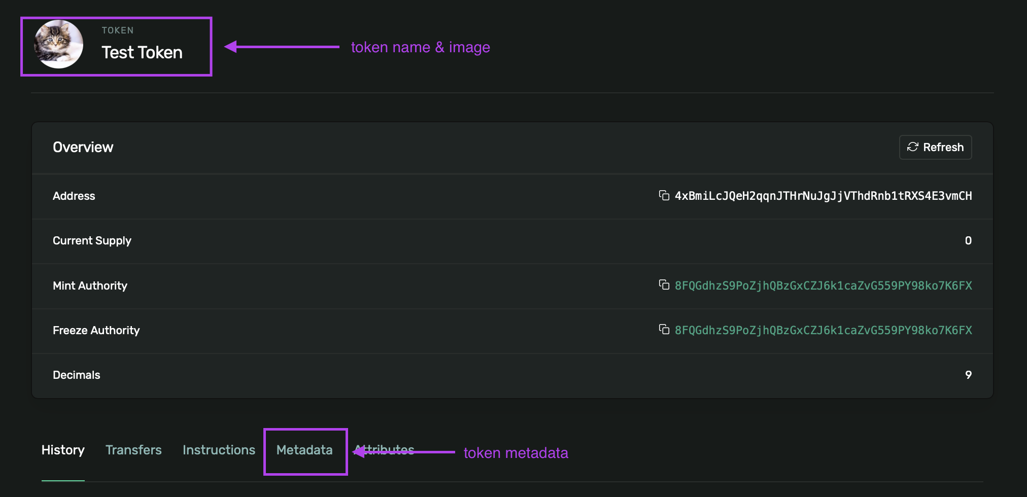 Test token on the block explorer with metadata visible