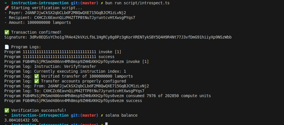 A screenshot of a terminal showing the result of a Solana introspection test. It confirms that the introspection was successful.