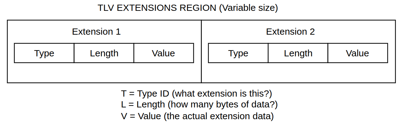 A diagram showing how TLV is laid out end-to-end